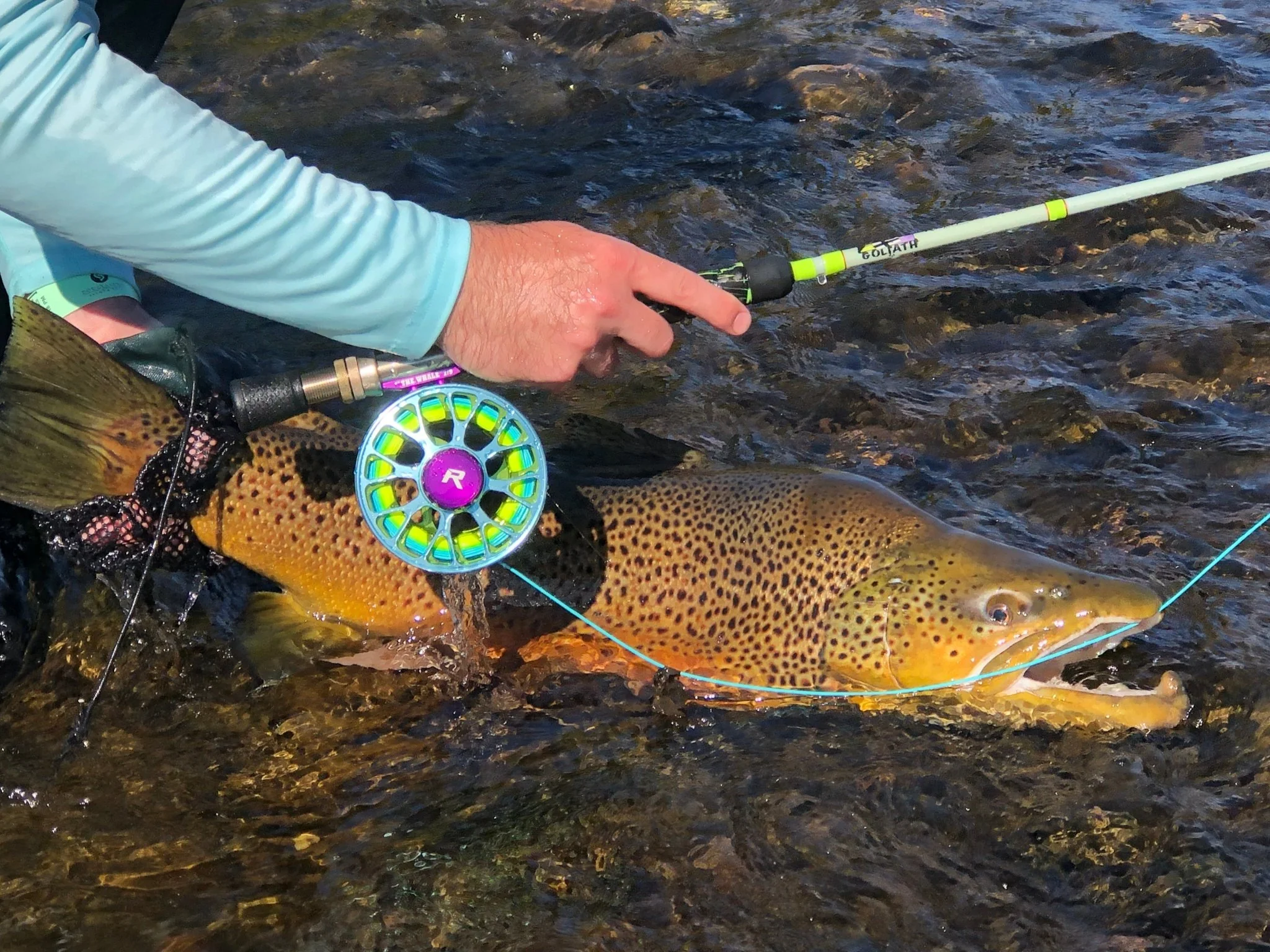 Risen Fly Goliath rod and reel combo