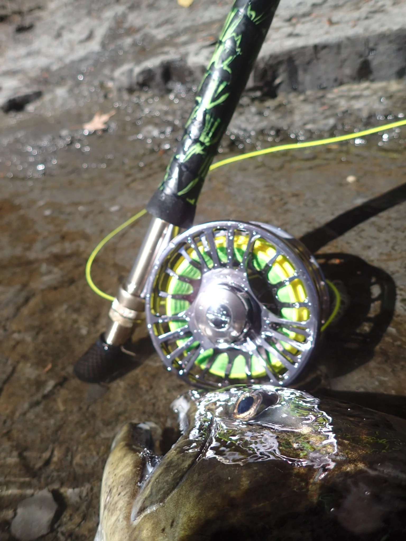 Risen Fly Goliath rod and reel combo - Image 2